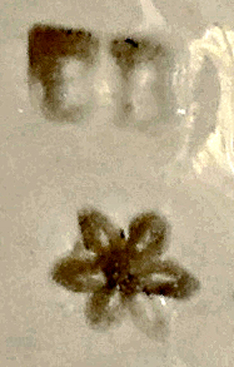Bernhard Bloch Signatur