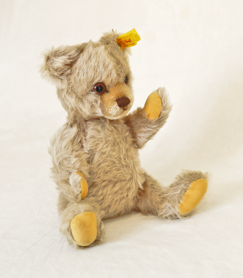 Steiff Teddybaer Knopf Fahne Ohr