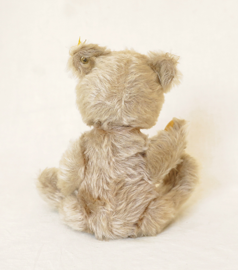 Steiff Teddybaer Knopf Fahne Ohr