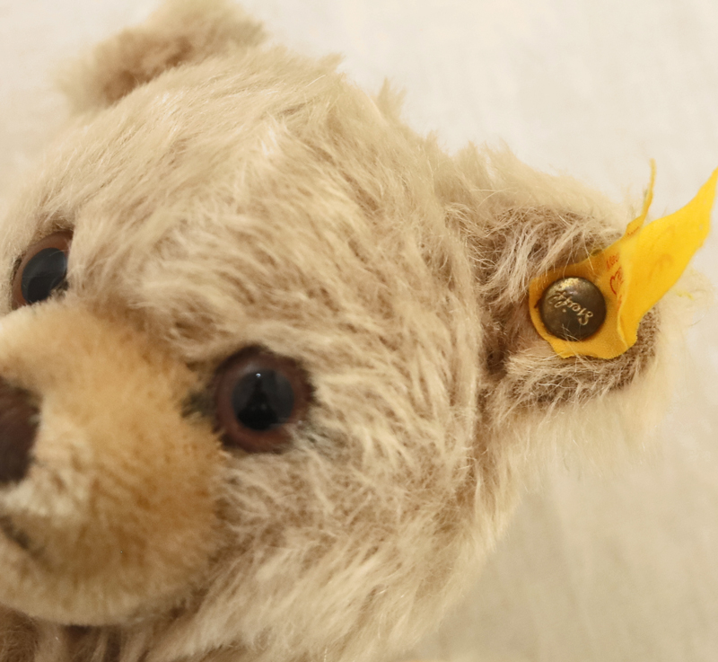 Steiff Teddybaer Knopf Fahne Ohr
