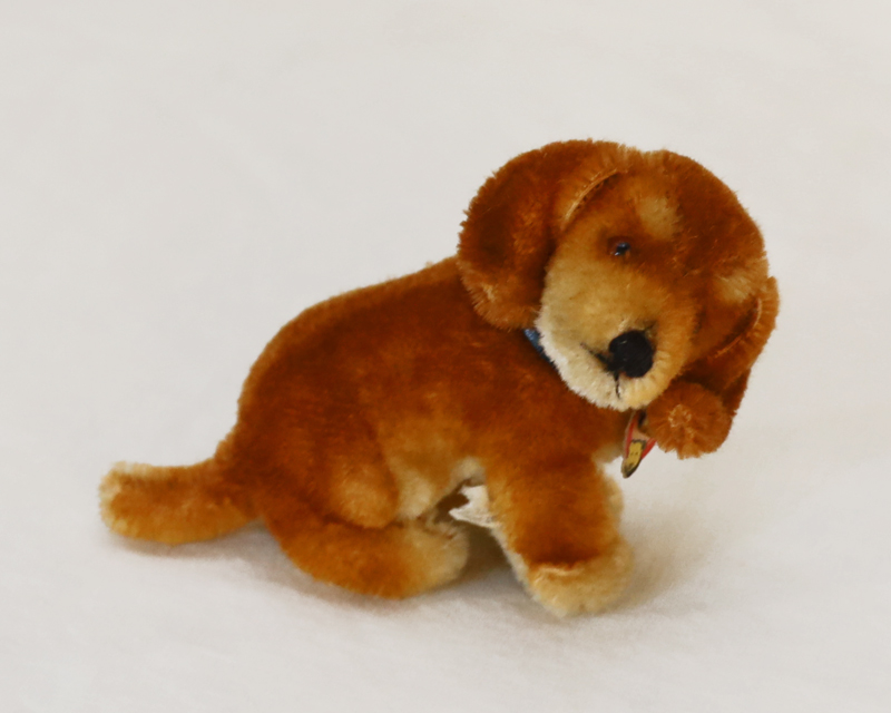 Steiff Bazi Jungdackel Dachshund Stofftier Knopf