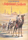 Das Geheimnis der Sahara Abenteuerbuch